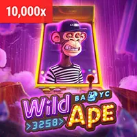 Hỗ Trợ Kỹ Thuật 333win app