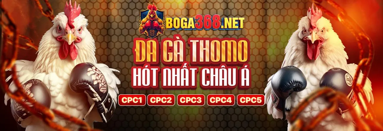 Câu Lạc Bộ VIP 333win app sang trọng với ưu đãi độc quyền