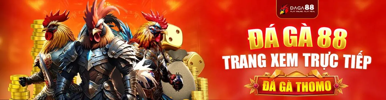 Chính sách Cookie của 333win app