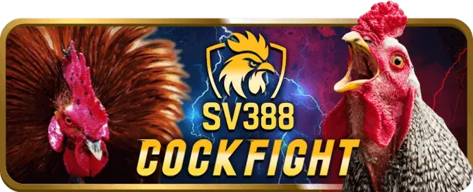Cấp độ VIP Bạc 333win app