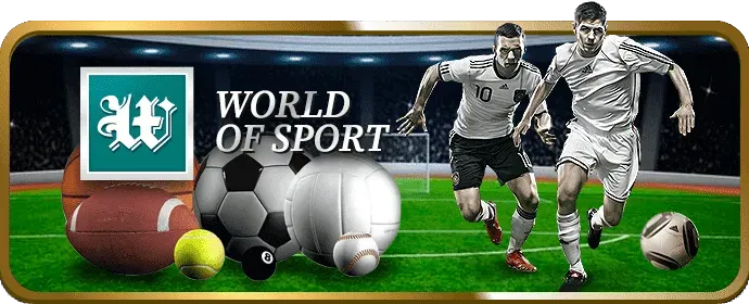 Cấp độ VIP Bạch Kim 333win app